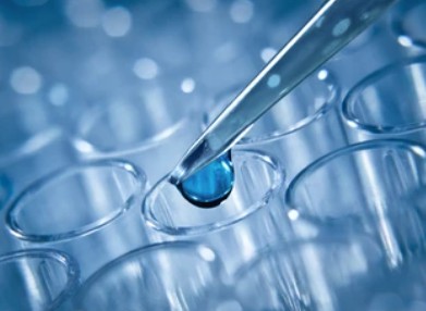 二硫化物を受容体とするCH-CH2基に作用する酸化還元酵素の酵素活性測定